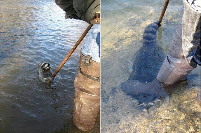 단지 상처없는 모피를 위해 | 인스티즈