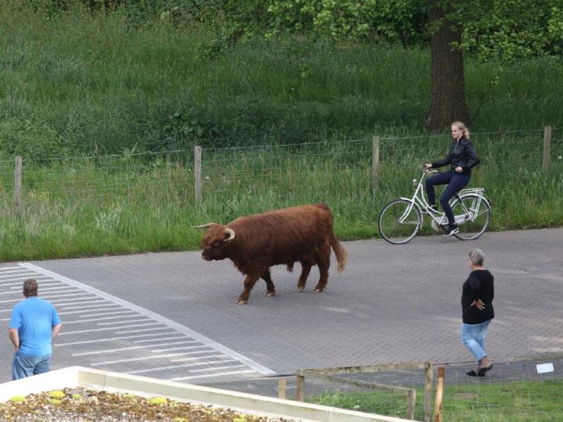 dgachterhoek tweet picture