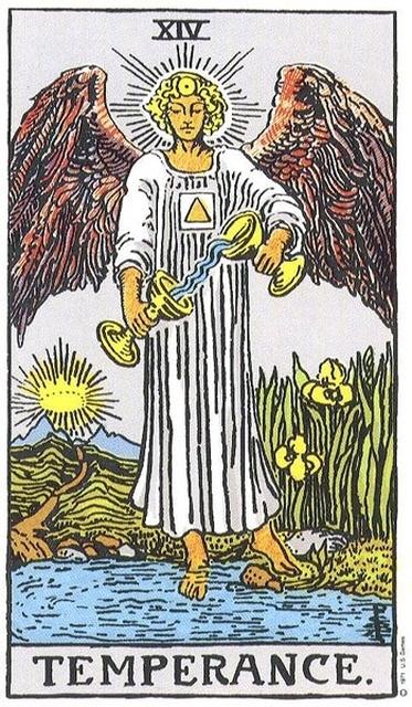 #dailytarot @theofficialselfridges #Temperance #Flourishing #MaintainingBalance #ExperiencingHealth #CombiningForces