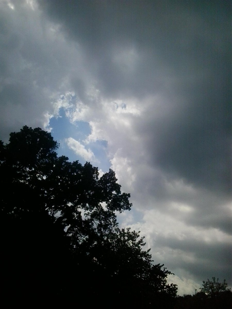 horvaathbeatrix's tweet photo. Kaladpark felé:) #vinye http://t.co/z7KioRcNeO