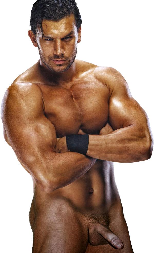 Wwe male superstars nude fakes.