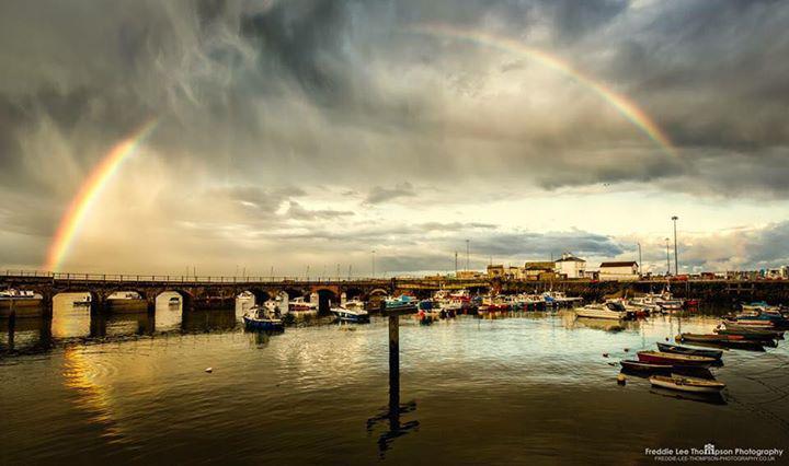 Embedded image permalink