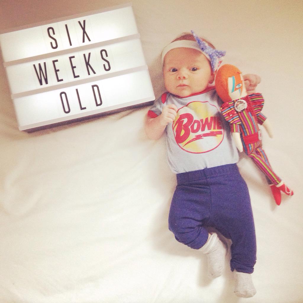 felicity gardner (@flickgardner) on Twitter photo Musical brainwashing continues! Her favourite toy is her David Bowie Doll 👏 thanks again <a href="/davidperkovic/">David Perkovic</a> #davidbowie Musical brainwashing continues! Her favourite toy is her David Bowie Doll 👏 thanks again <a href="/davidperkovic/">David Perkovic</a> #davidbowie