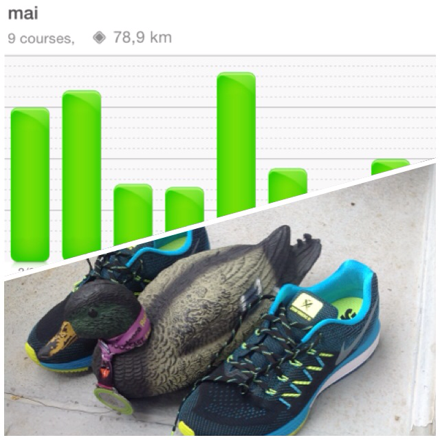 FranckYeah's tweet photo. BACK!!! #vomero10 and #francklecanard Je viens de courir 7,26 km avec Nike+ Running. http://t.co/JU5gOkvHJw #nikeplus http://t.co/rstKXJ7CTV