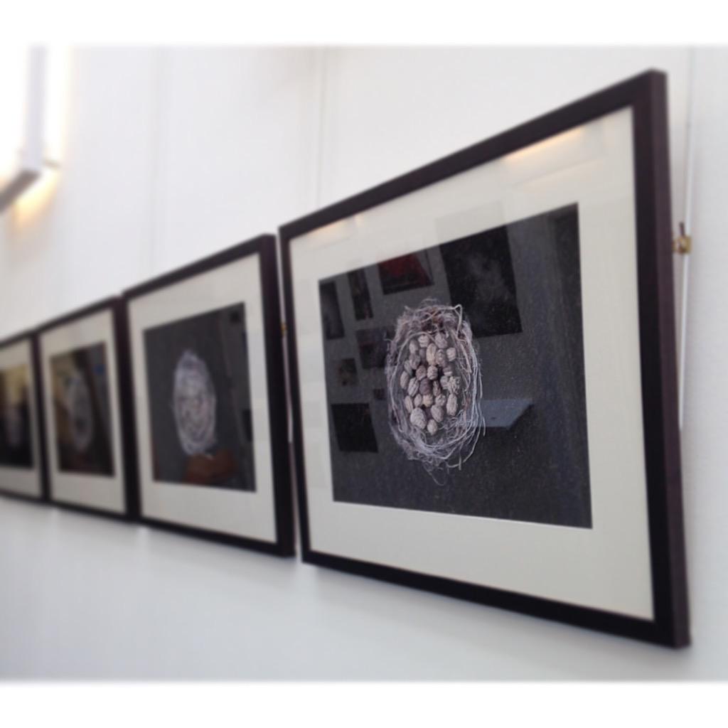 PhotogKirstie's tweet photo. 'Nurturing Nature' is currently on display @ Derby University Markeaton Street. Follow @2015lux for more info http://t.co/HN3jRl3P4M