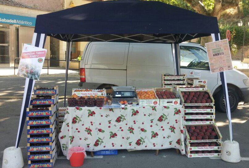 Avui, els primers préssecs de la temporada! #pressecdordal #subirats #penedes