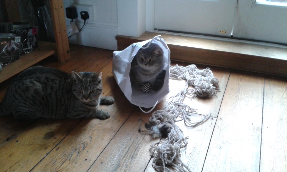 AnnPictureBooks's tweet image. While I wait to hear if my ebook 'The Dandelion Who Refused to be a Weed' is going paperback, here's a pic of my kids