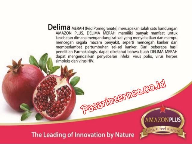 kandungan delima