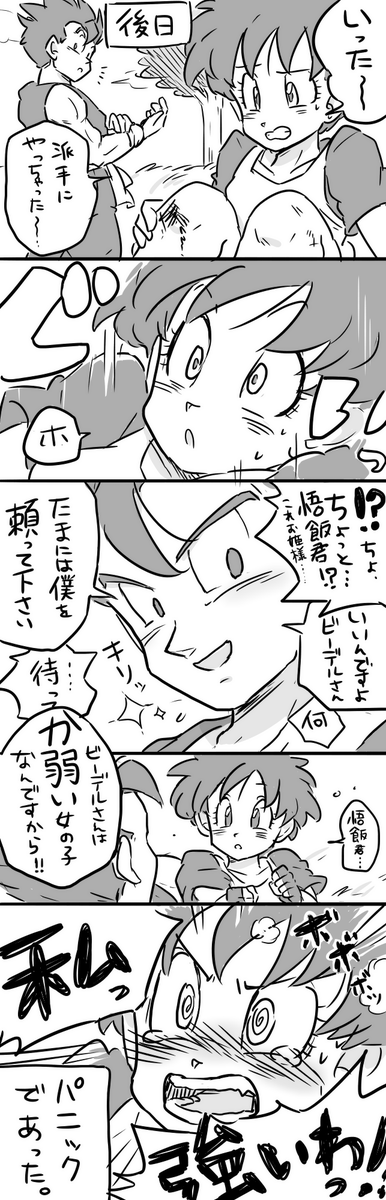 乙女心とビーデルさん。 