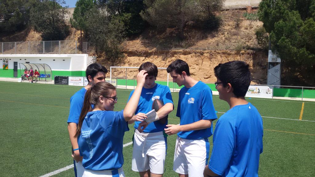 Mollet Dolphins tweet media