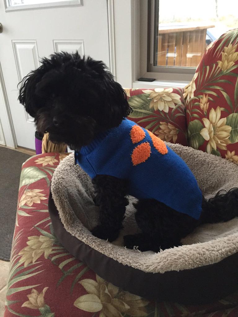 RenfrowA's tweet photo. #CMTsmile meet best dressed Oreo! http://t.co/mxfkGKmDqv