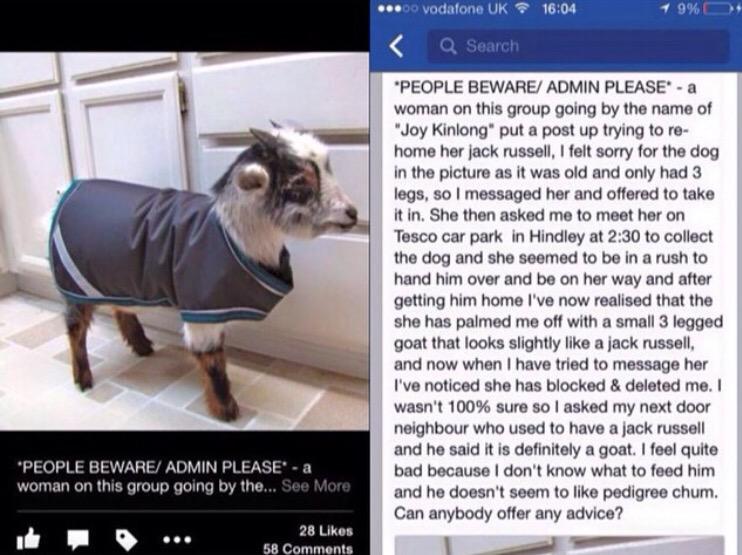 Jesus Christ hahahaha