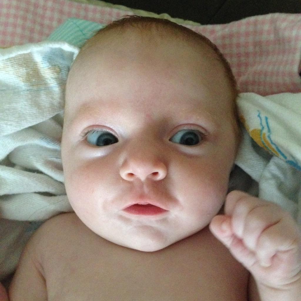 woodsie_tv's tweet image. Q&amp;amp;A: my 2mo baby is taking Q&apos;s for the next 30min, ask anything! #societalissues #internationalpolitics #babypoop