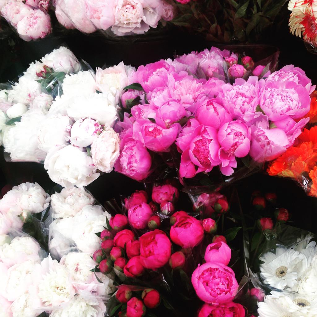 oshroeva's tweet photo. #Paris #thevanderlust http://t.co/xwBwRm1RKX