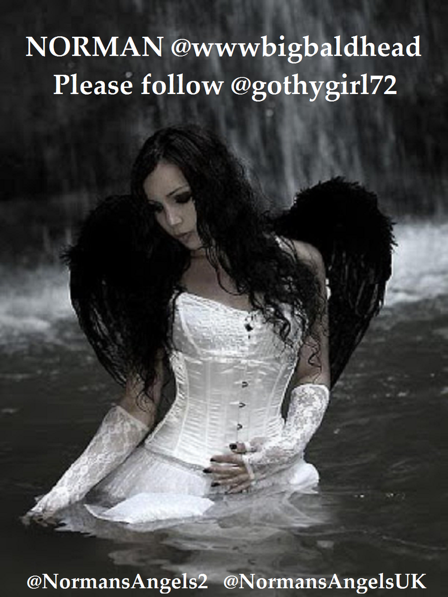 NORMAN ❤<a href="/wwwbigbaldhead/">norman reedus</a>❤ #PLZFOLLOW <a href="/gothygirl72/">UKFLANDUS4EVA</a>