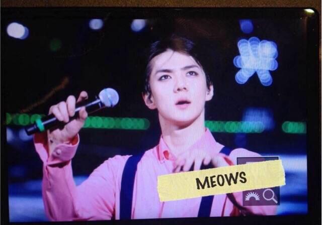 #세훈  150531 EXO'luXion in Shanghai 【 Always Here】