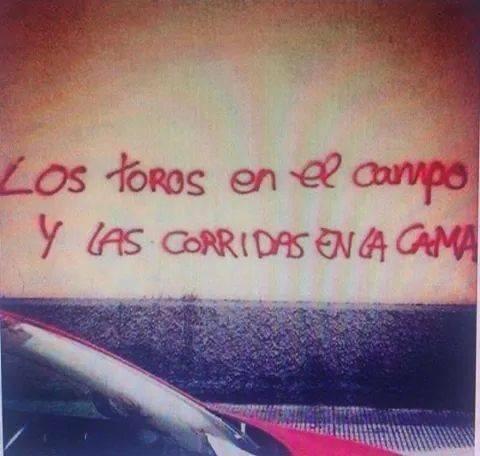 "Los toros en el campo, y las corridas en la cama" nunca una pintada tuvo tanto sentido. #SiaLosTorosEnTVE