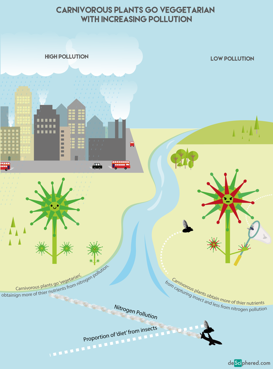 dscphrd's tweet image. Pollution turns Carnivorous Plants veggie bit.ly/1AFEG8t Our #SciArt #illustration of a @ELSenviron article