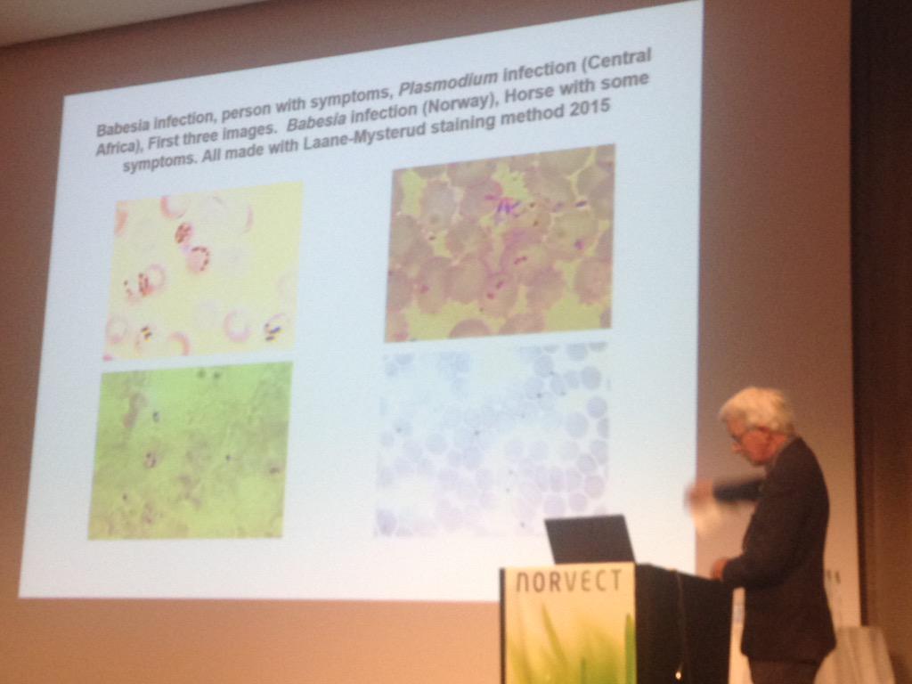 NorVect's tweet photo. Does Carl Morten Motzfeld Laane's new staining method show #Babesia to be wide-spread? #NorVect2015 http://t.co/G77TMSD8Zq