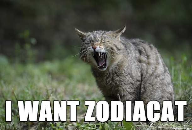 ZodiaCat's tweet photo. Good thing we're just 6 days away from launching. #CatsOfTwitter #CatHoroscopes http://t.co/FxiAlRKC1Z