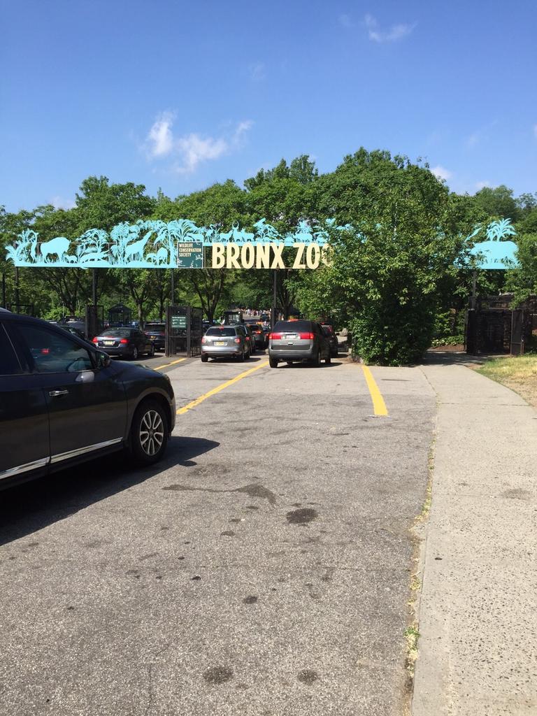 Ander Herrera tweet media