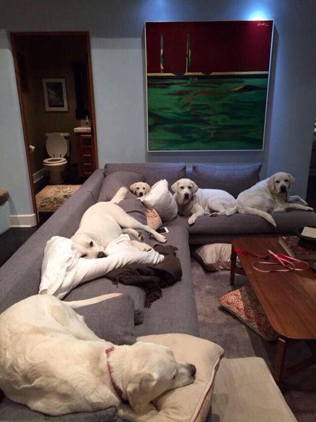 This is the only sleep over I want to go to.