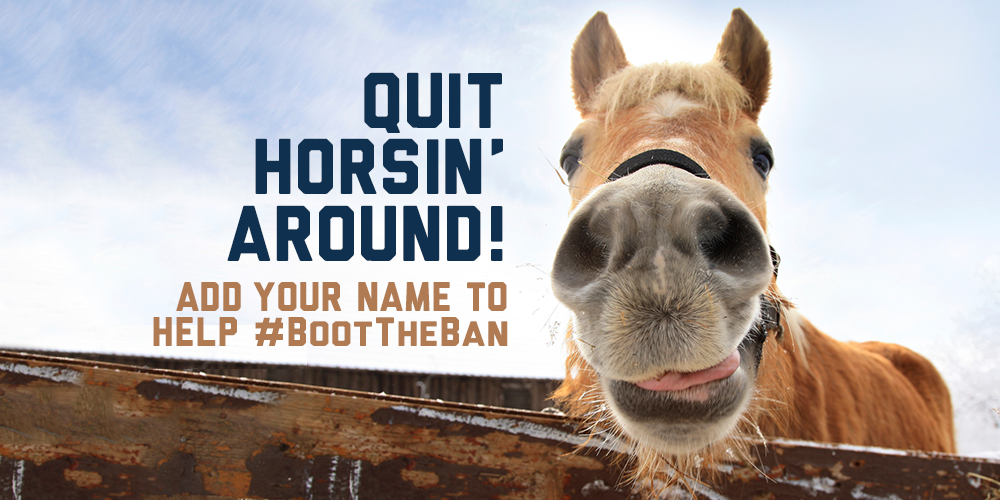 BootTheBan's tweet image. Quit horsin’ around! We need your name to help end the #Texas blue laws. SIGN HERE: bit.ly/1BzNHKp