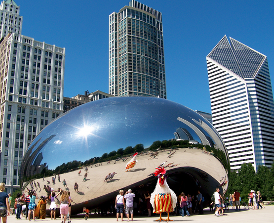 AvantiPress's tweet photo. On our way to #licensing15 in #Vegas. Where is this bean everybody’s talking about? #roostergram #Chicago http://t.co/0BEDATX7mP