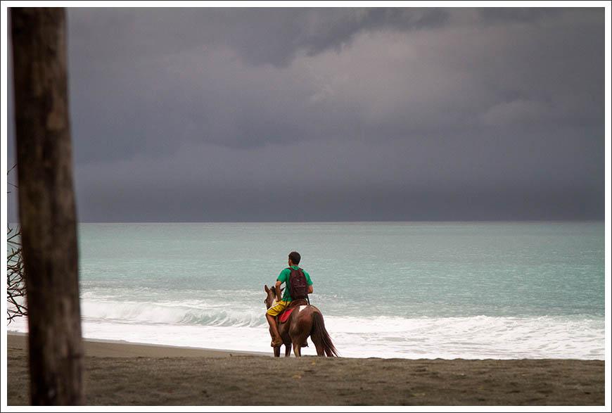 Lookout_Inn's tweet image. Green season is best season! Anyone up for #horsebackriding on the beach? @Lookout_Inn #CostaRica #OsaPeninsula