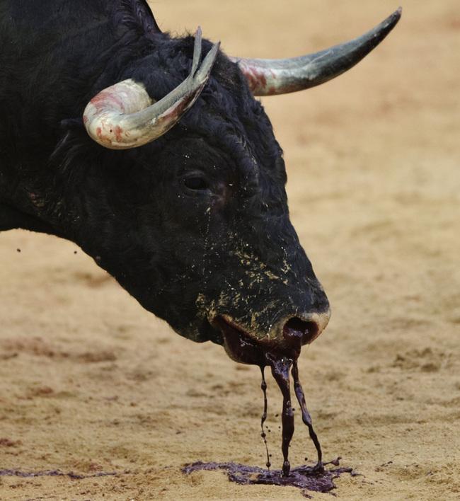 XBescos's tweet image. Un país donde conceptos de violencia y arte no están claros. 
2 de estas fotos incitan a violencia, otras 2 son arte.