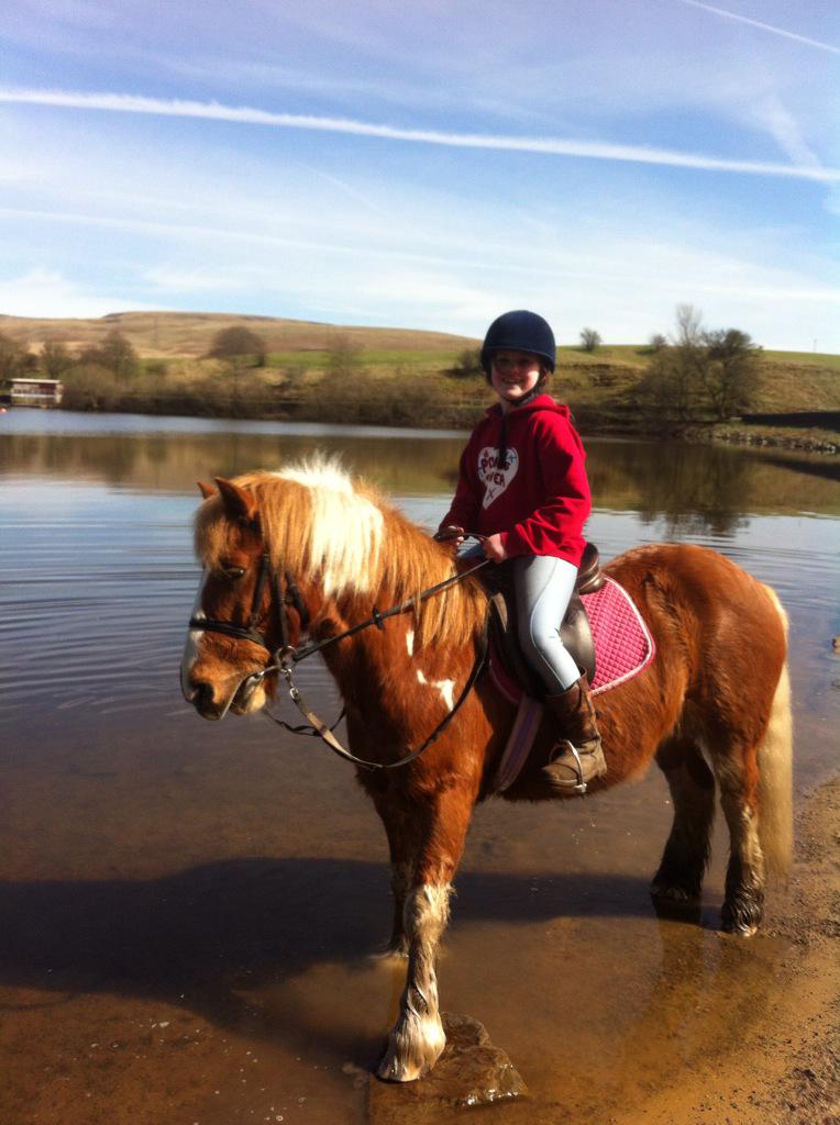 Summers is nearly here.#horseriding #hollingworthlake #littleborough