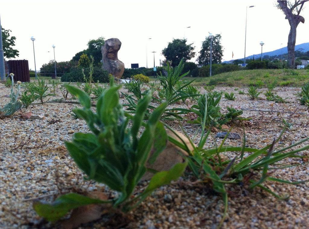 Cada mes tindria de ésser el 11 de setembre o el parc estar al Pla de l'Avella (Cabrera de Mar)