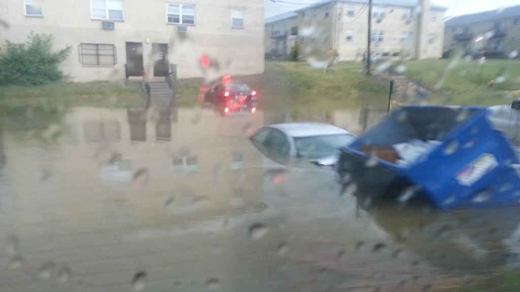 Katy Rafferty (@Katy_waka3) | Twitter