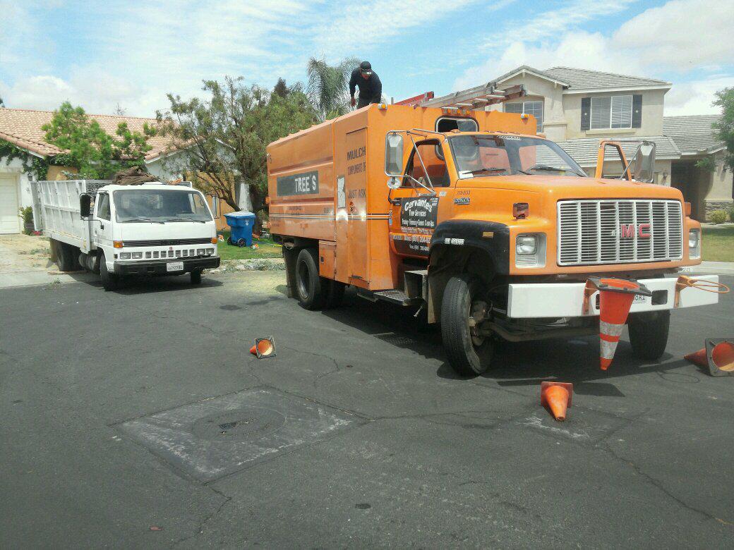 CervantesTree's tweet image. 