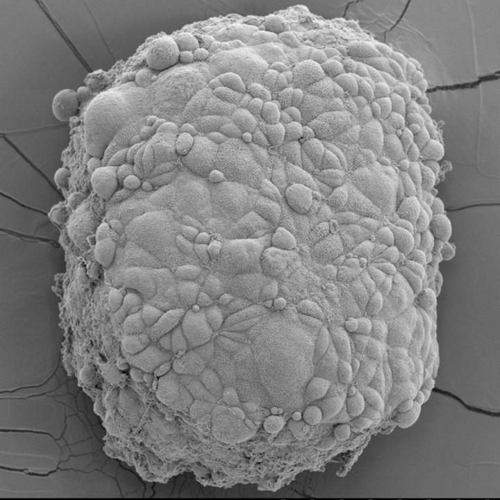 National Cancer Institute tweet media