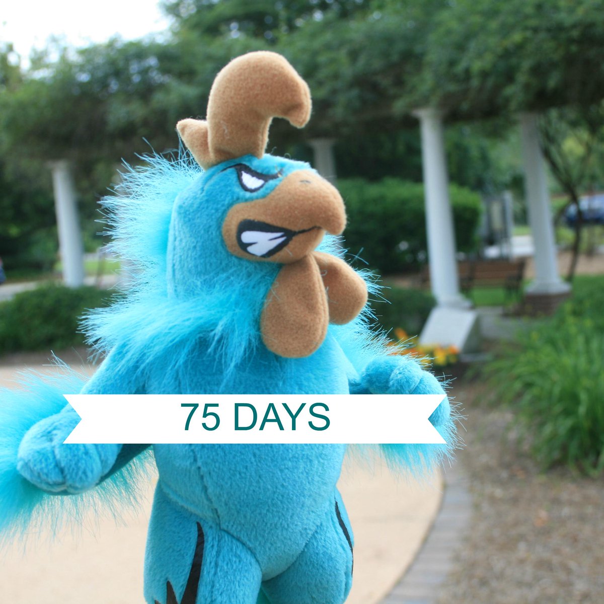 CCU Admissions tweet media