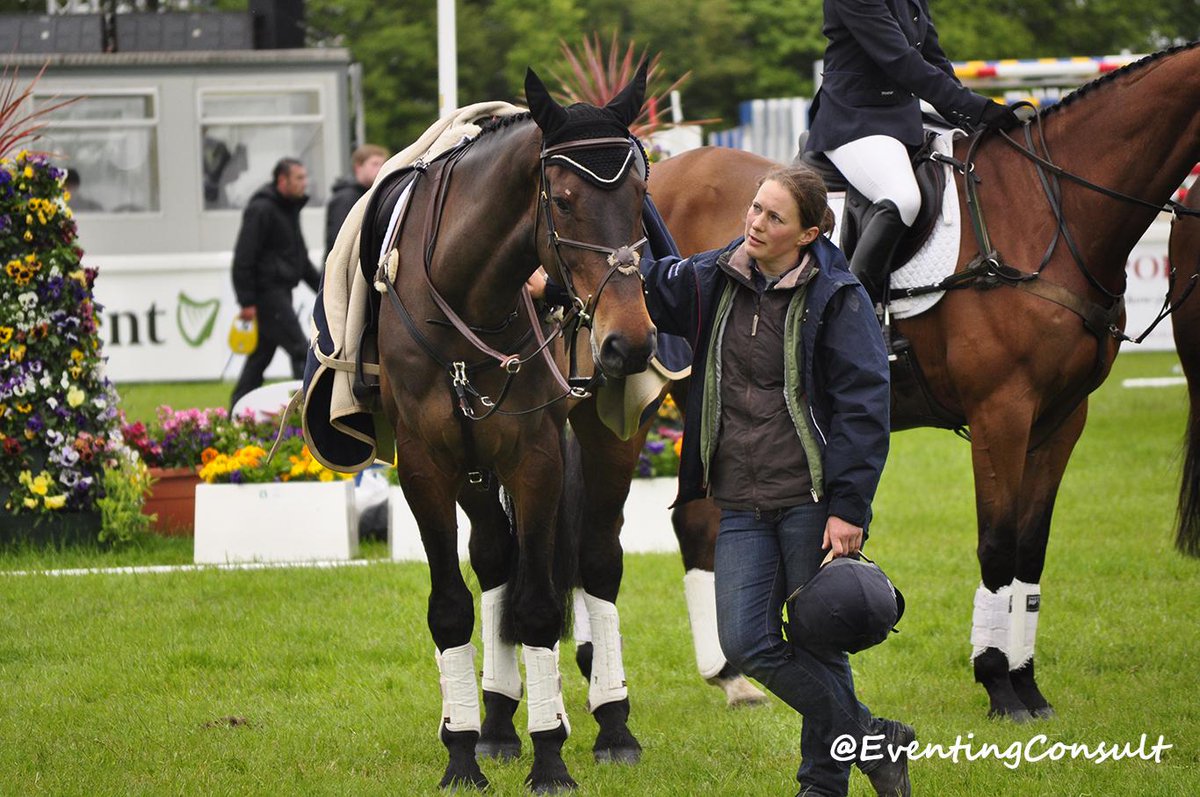 EventingConsult's tweet photo. The Grooms of Eventing. The people who keep the wheels turning in eventing teams! Three happy ones! http://t.co/OURs8Qd8Wg