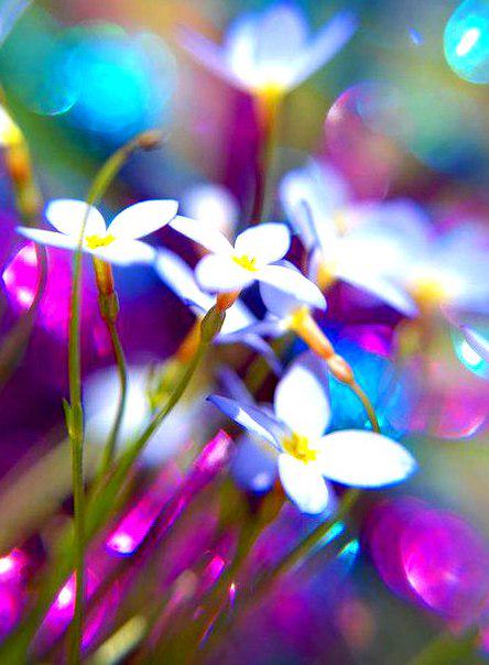 loli_bum's tweet image. 