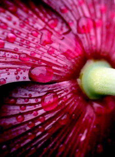 loli_bum's tweet image. 