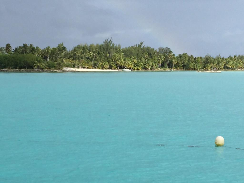 EEtedgui's tweet image. 