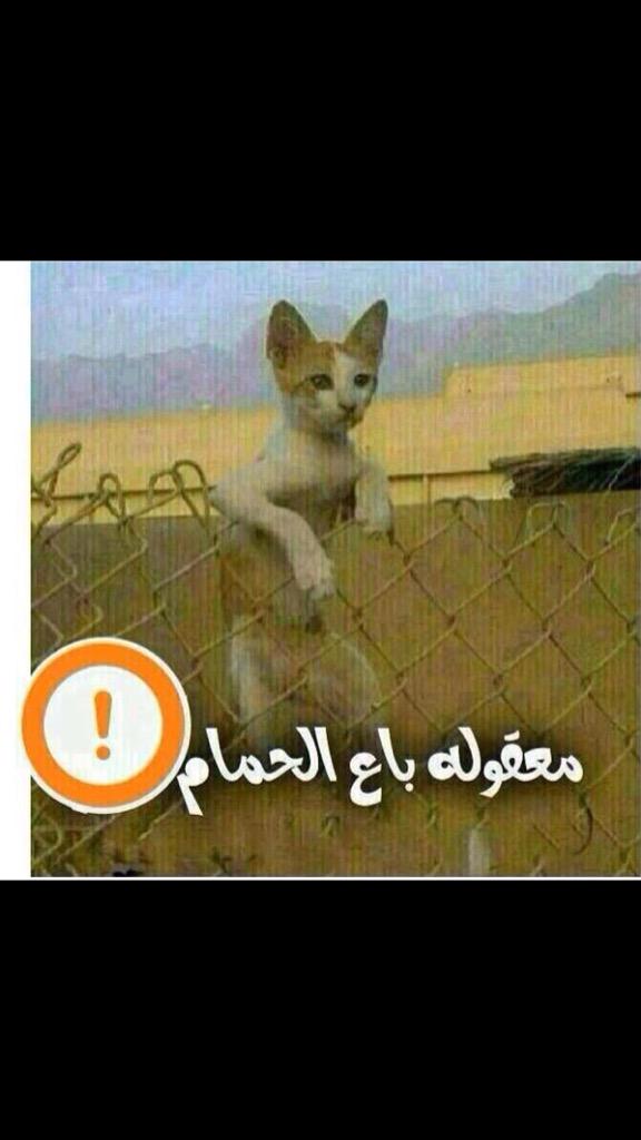 ههههههههههخههههههه