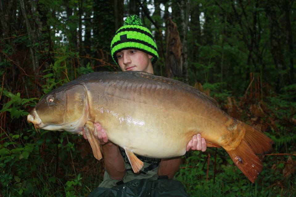 TylerOFlynn16 tweet picture