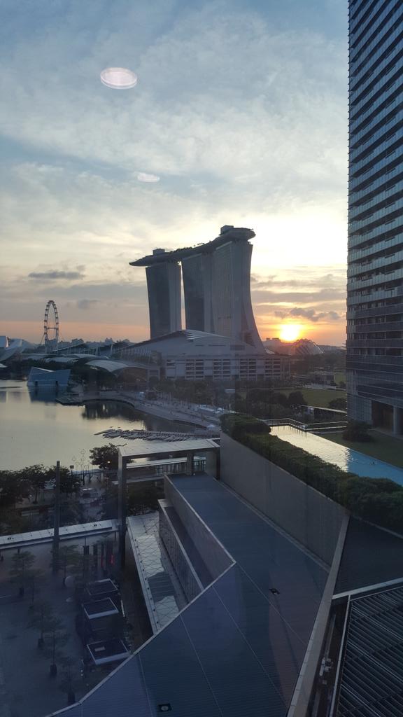 gogoffer tweet media