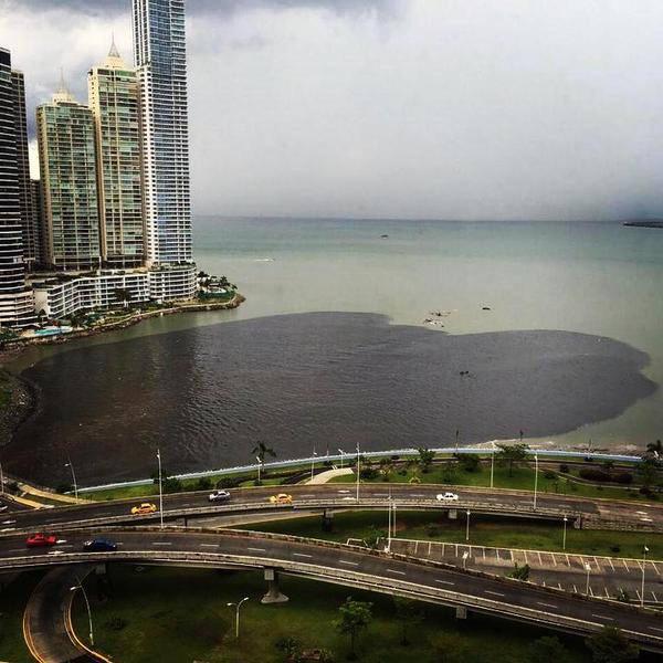 Esto que es? Clase de contaminación. Estimada <a href="/raisabanfield/">Raisa Banfield #PanamáSoberana🇵🇦</a> sabe algo de esto?