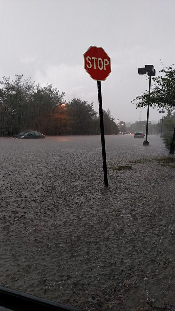 View image on Twitter View image on Twitter