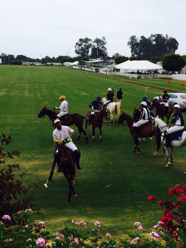 JamesDarnboroug's tweet photo. @sbprc Hey, move the damn Maserati so we can play polo! #santabarbarapolo #polo #sbprc http://t.co/dlYZfZmEVr