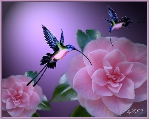 ivymarina1's tweet photo. #SIGAM_OS_MELHORES_VIPS @louzval2011 @ap50_ana @3399Valentina @DiegoPires2710
@elysangelahhh 
@dafiel_jonatas @nov_um http://t.co/7YgDKf02Z9