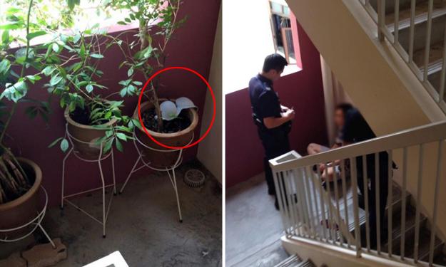 Embedded image permalink