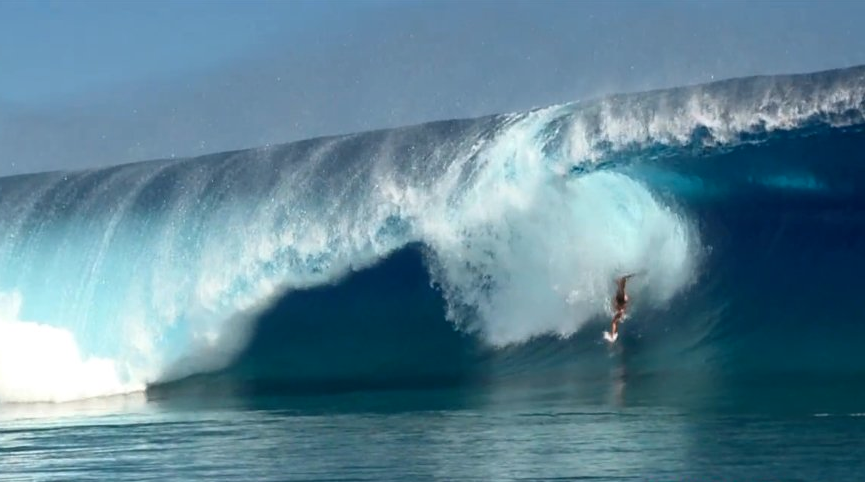 SurfingLife tweet picture