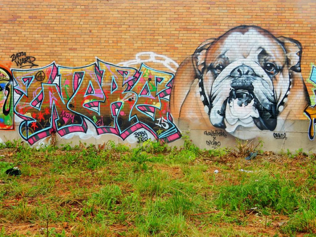 TokidokiNomad's tweet photo. Bulldog by CENO2. 30may15. Chicago, IL. #ceno2 #chicago #usa #travel http://t.co/VgdtWbceYw